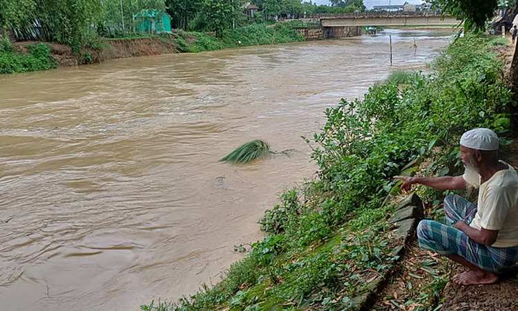 শেরপুরে বাড়ছে নদ-নদীর পানি, চেল্লাখালী নদীর পানি বিপৎসীমার উপরে